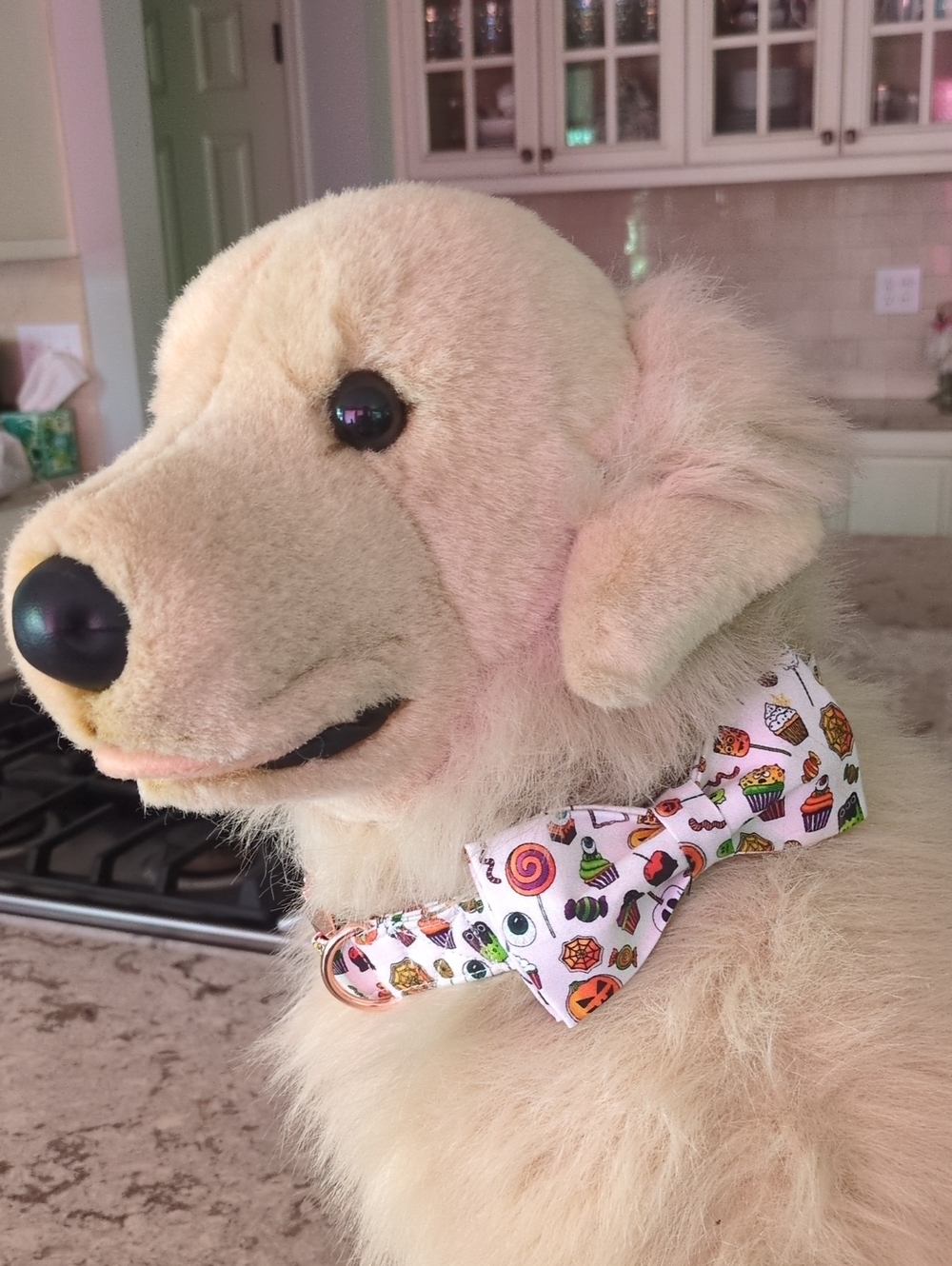 Halloween Candy Dog Collar